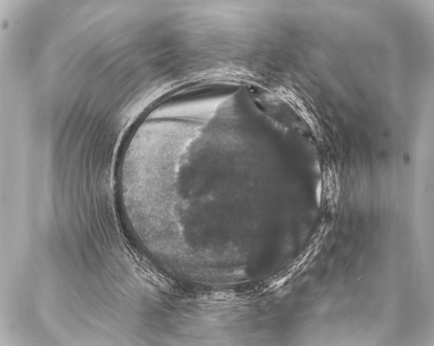 X0000086950196200705071451