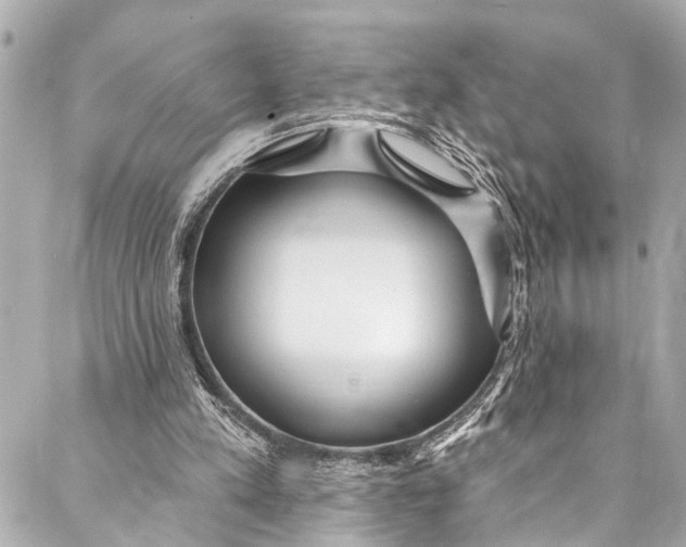 X0000086950197200705071451