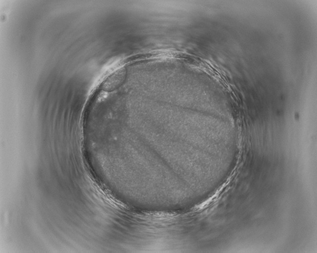 X0000086950198200705071451