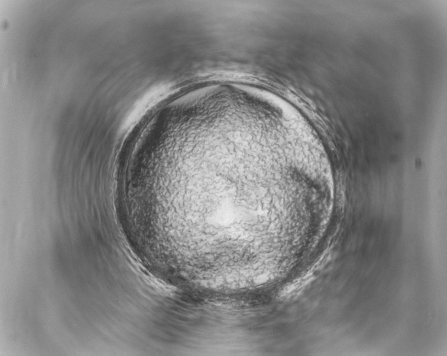 X0000086950199200705071451