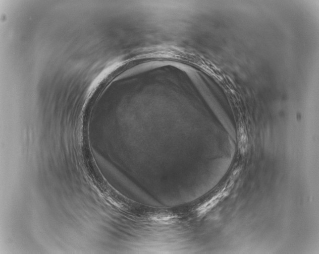 X0000086950200200705071451