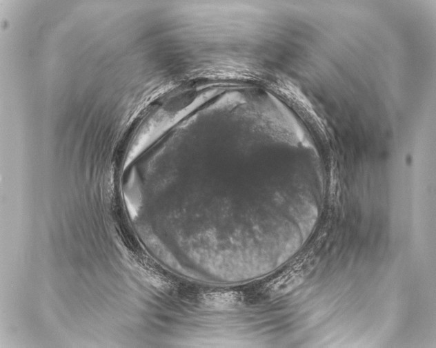 X0000086950202200705071451