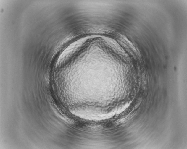 X0000086950203200705071451