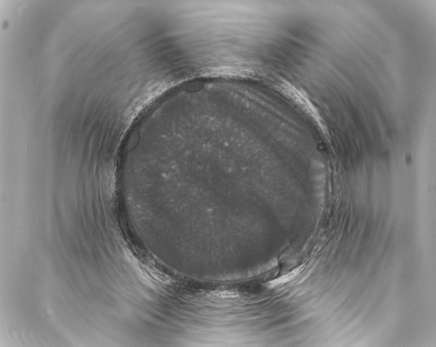 X0000086950204200705071451