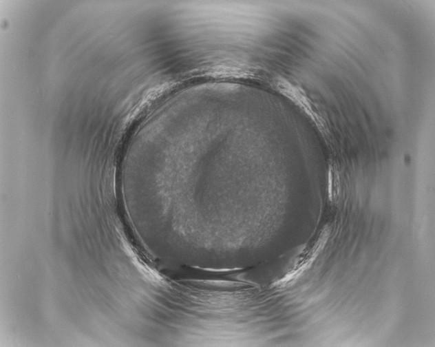 X0000086950205200705071451