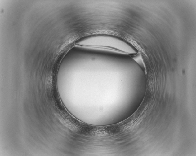 X0000086950207200705071451