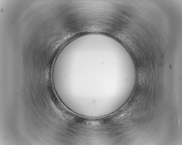 X0000086950208200705071451