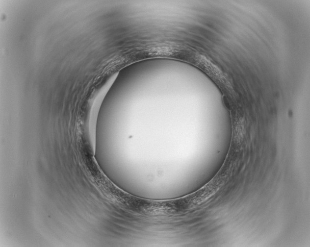 X0000086950209200705071451