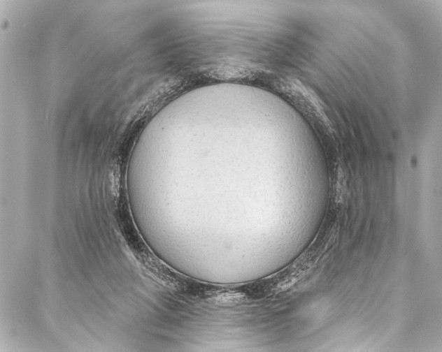 X0000086950210200705071451