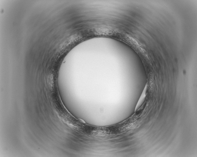 X0000086950211200705071451