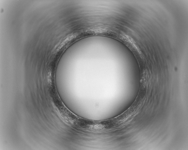 X0000086950212200705071451