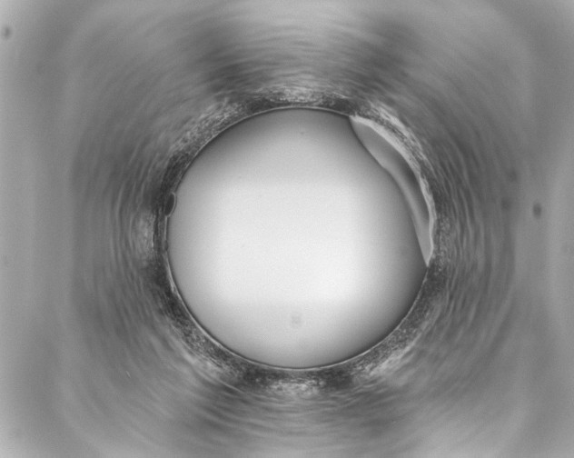 X0000086950213200705071451