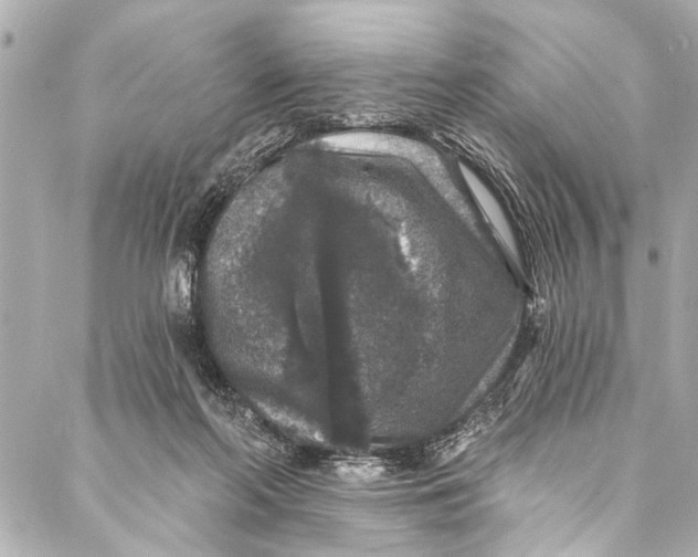 X0000086950214200705071451