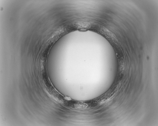 X0000086950215200705071451