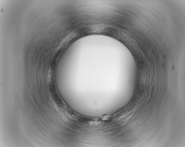 X0000086950216200705071451