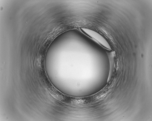 X0000086950217200705071451