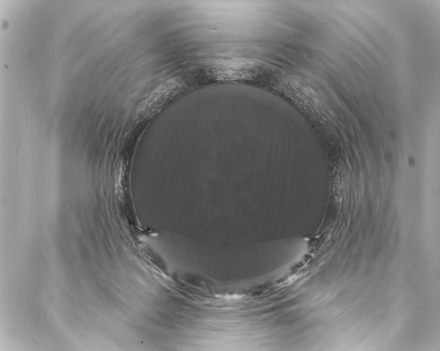 X0000086950219200705071451