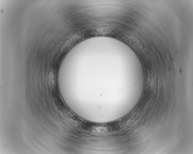 X0000086950220200705071451