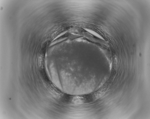 X0000086950222200705071451