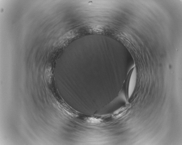 X0000086950223200705071451