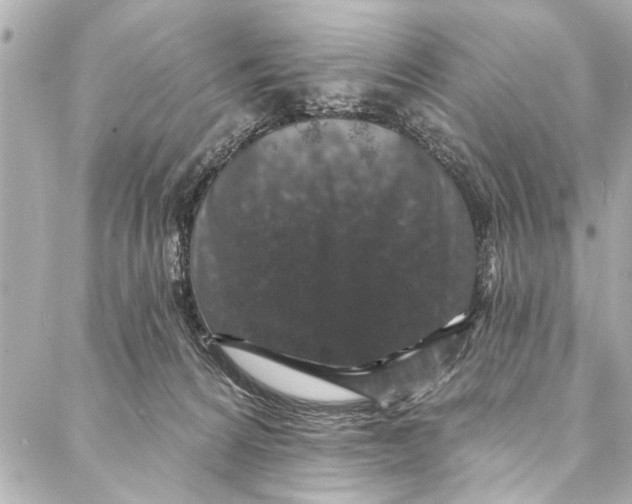 X0000086950224200705071451