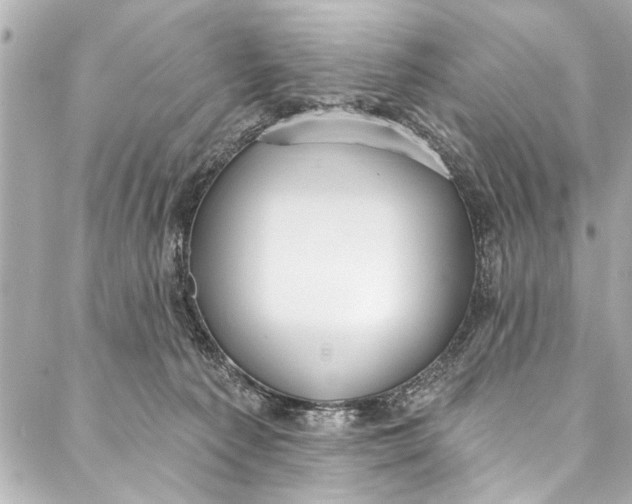 X0000086950225200705071451