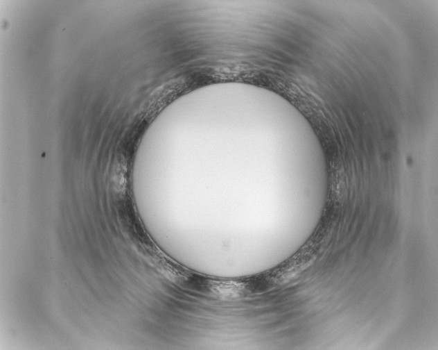 X0000086950226200705071451