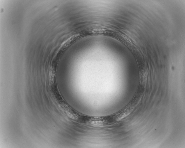 X0000086950228200705071451