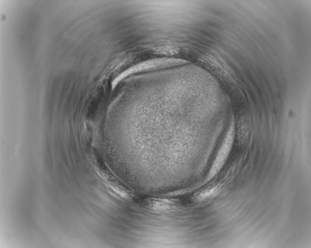 X0000086950229200705071451