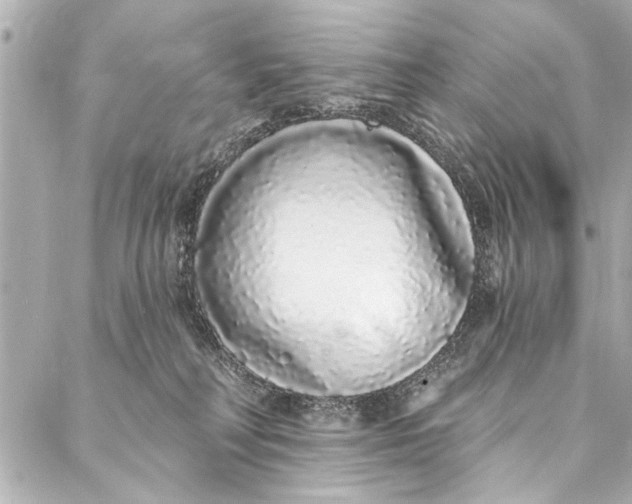 X0000086950230200705071451