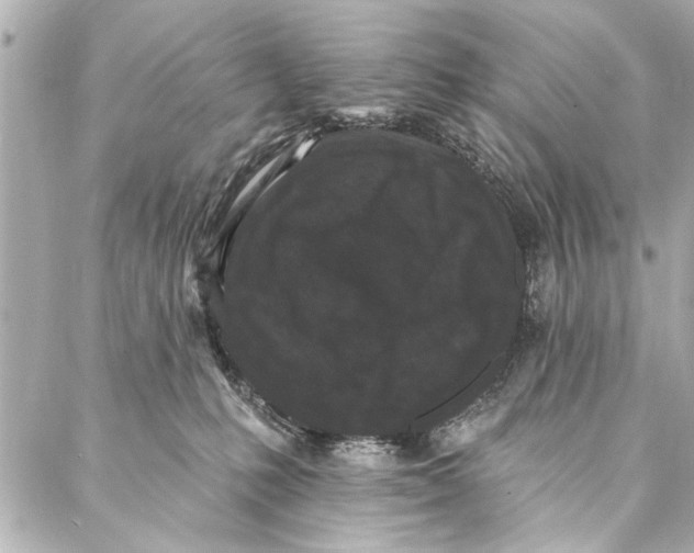 X0000086950231200705071451