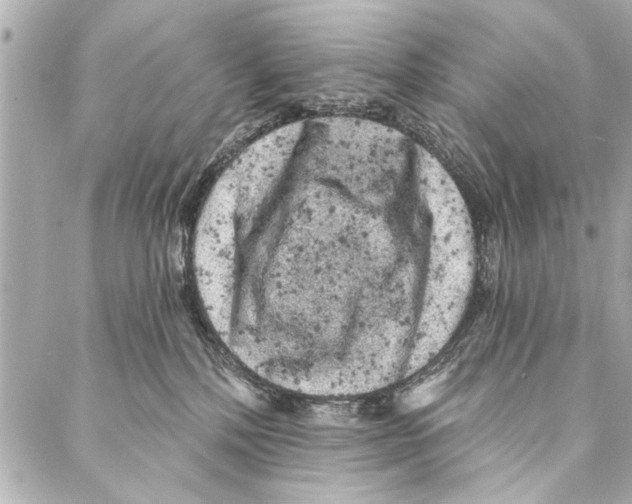 X0000086950232200705071451