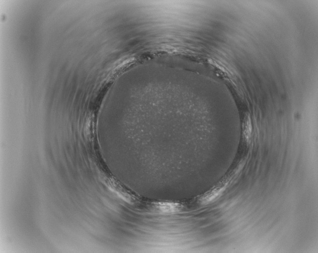 X0000086950233200705071451