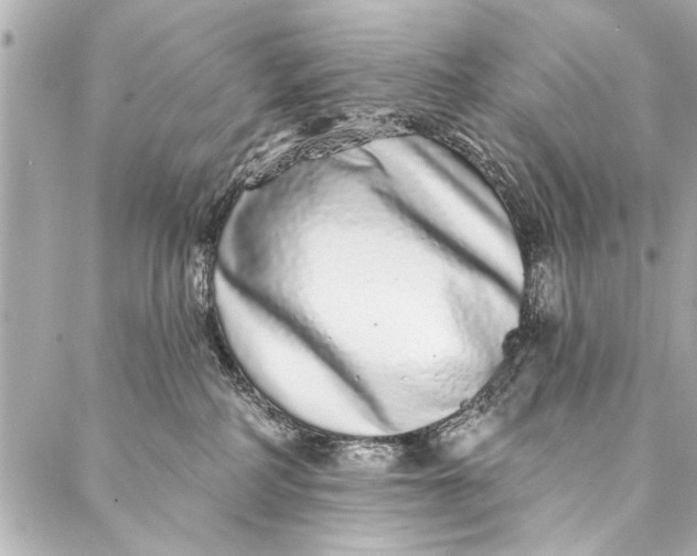 X0000086950234200705071451