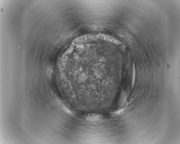 X0000086950235200705071451