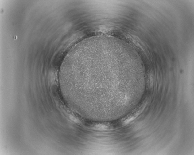 X0000086950236200705071451