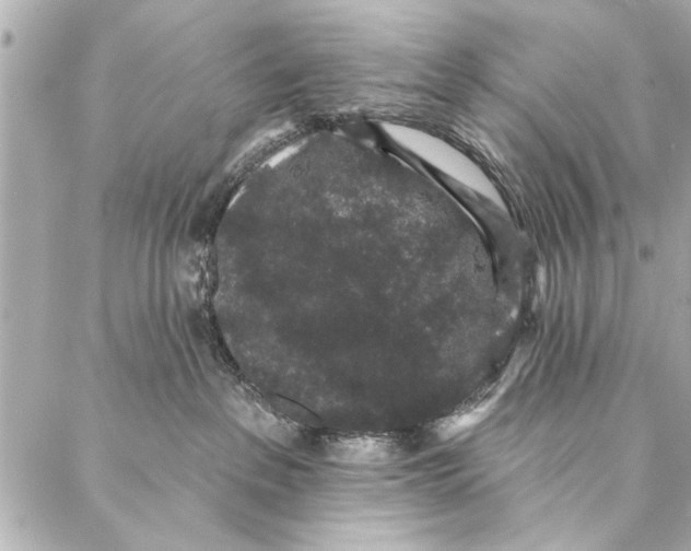 X0000086950237200705071451