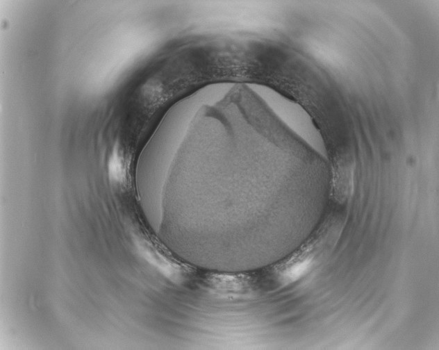 X0000086950239200705071451