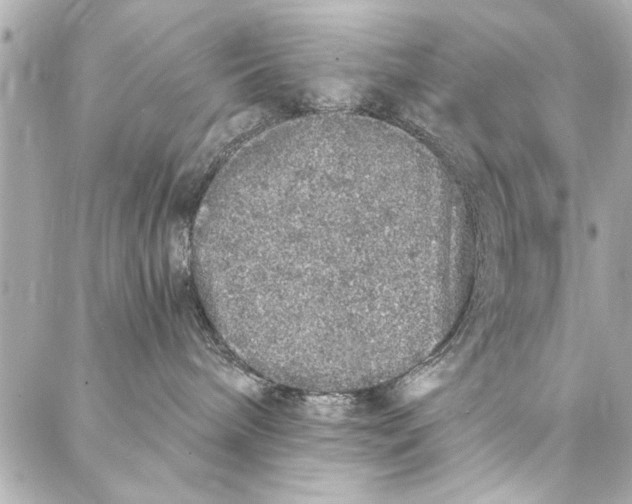 X0000086950240200705071451