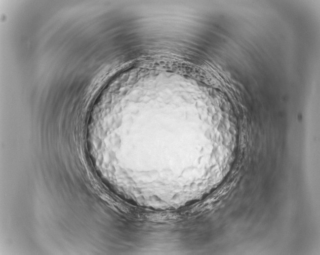 X0000086950241200705071450