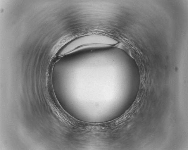 X0000086950242200705071450