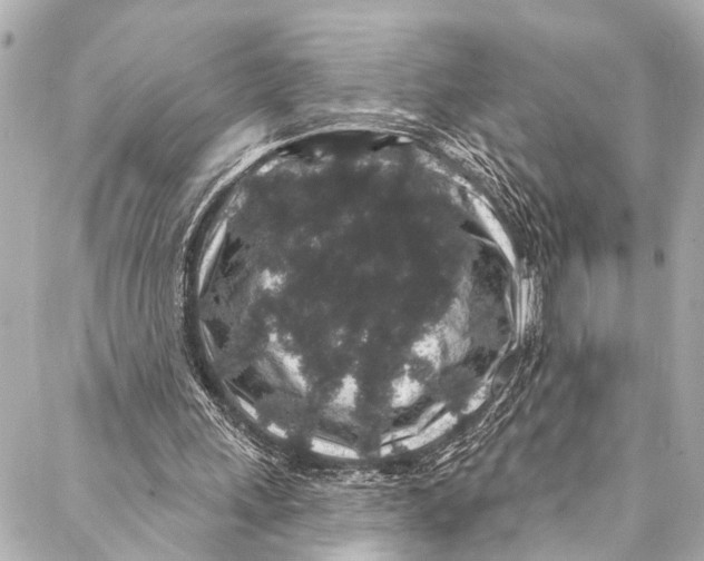 X0000086950243200705071450