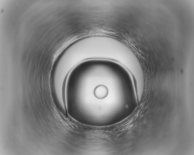 X0000086950244200705071450