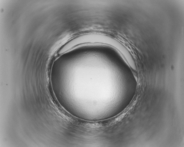 X0000086950245200705071450