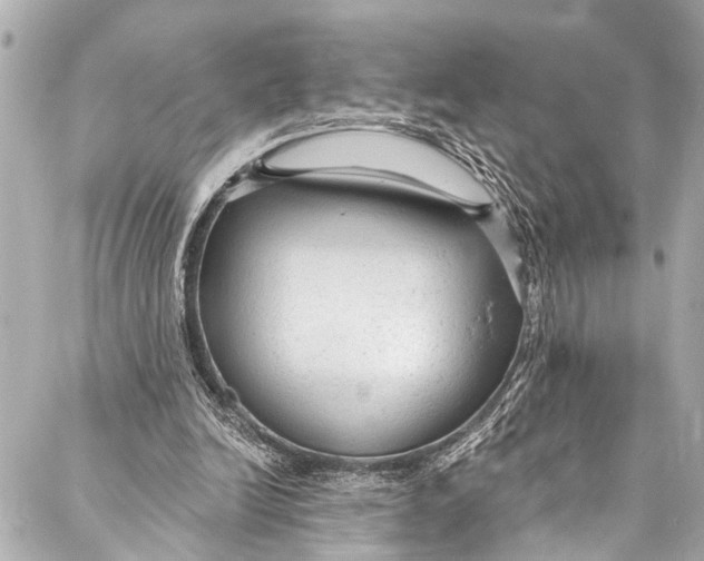 X0000086950246200705071450