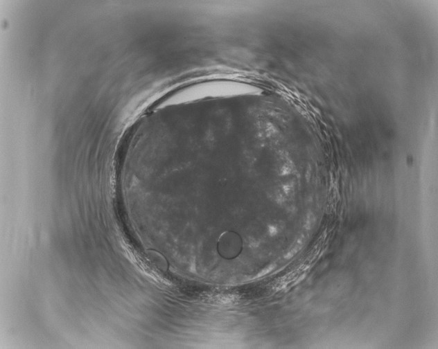 X0000086950247200705071450