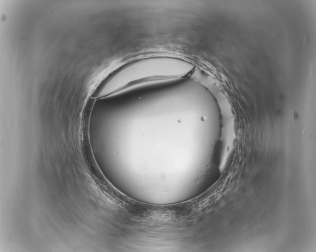 X0000086950248200705071450