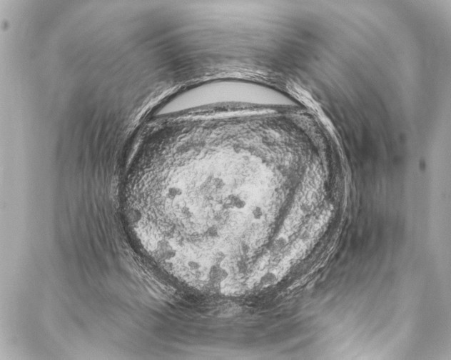 X0000086950249200705071450