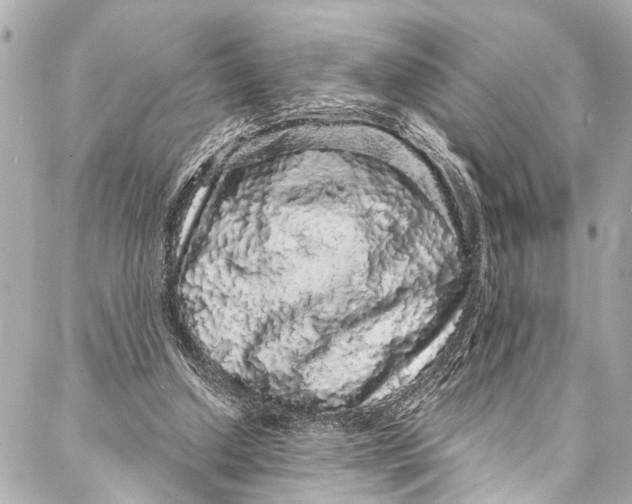 X0000086950250200705071450