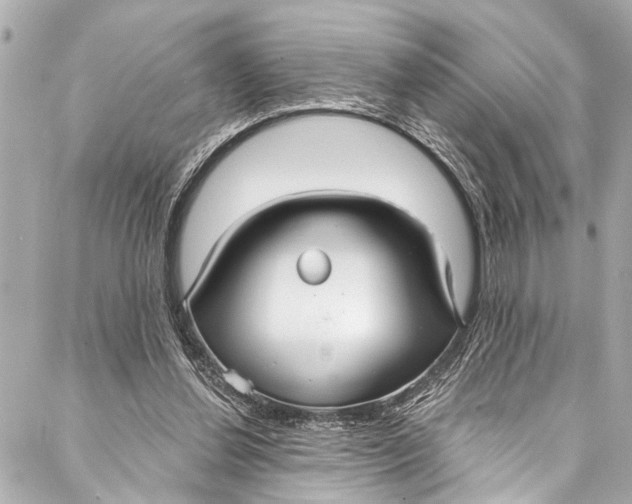 X0000086950252200705071450